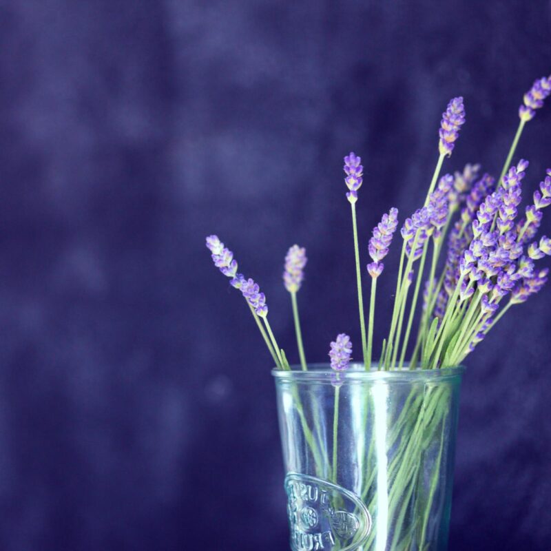 Glass of Lavender